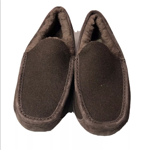 UGG Ascot Suede Wool Moccasin Slippers 8 Espresso - Picture 2 of 6